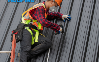 Think Your Roof Is Clean? The Licensed Roofing Contractors Edmonton Counts On Will Teach You Otherwise!