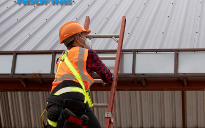 This Hack for Professional Roof Inspections in Edmonton Could Help Save You Thousands!