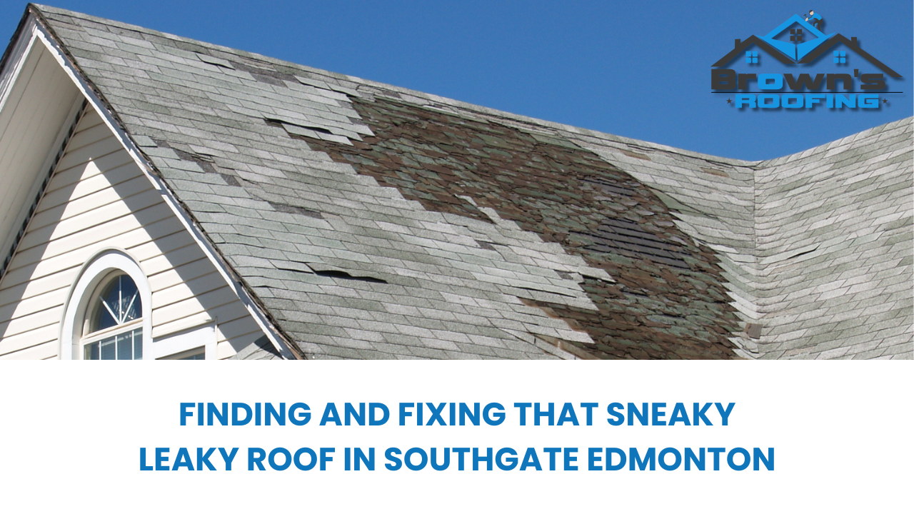 Leaky Roof in Southgate Edmonton
